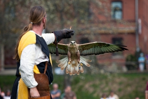 Falkenshow Schloss Egg 2009