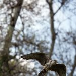 img_1105-bearbeitet.jpg