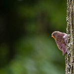 img_0914.jpg