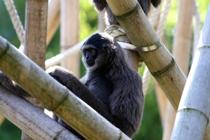 Tierpark Muenchen 2007